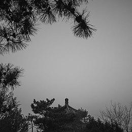 游戏总监与《指环王》电影主演一起玩《博德之门3》